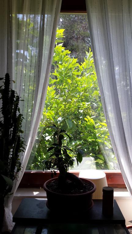 Guesthouse Aria Трогир Екстериор снимка